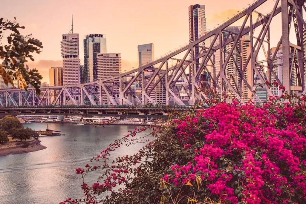 a photo of story bridge in brisbane and the city skyline as well as spring flowers
