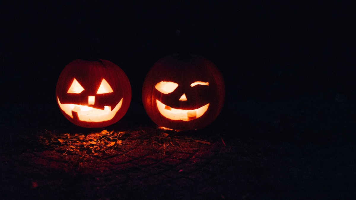 close up photo of carved pumpkins on halloween