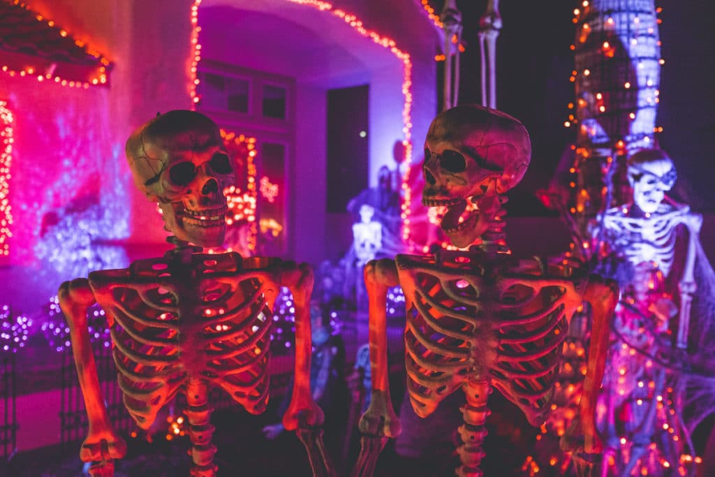 halloween party, skeleton props
