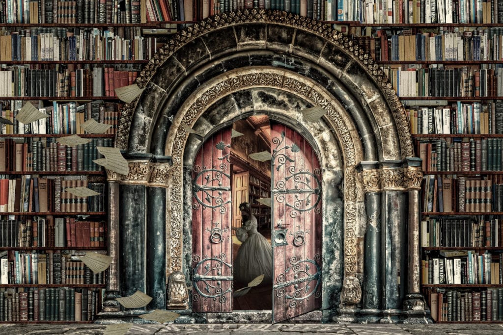 a photo of a giant bookshelf with a woman in a dress visible through a door in the centre of bookshelf