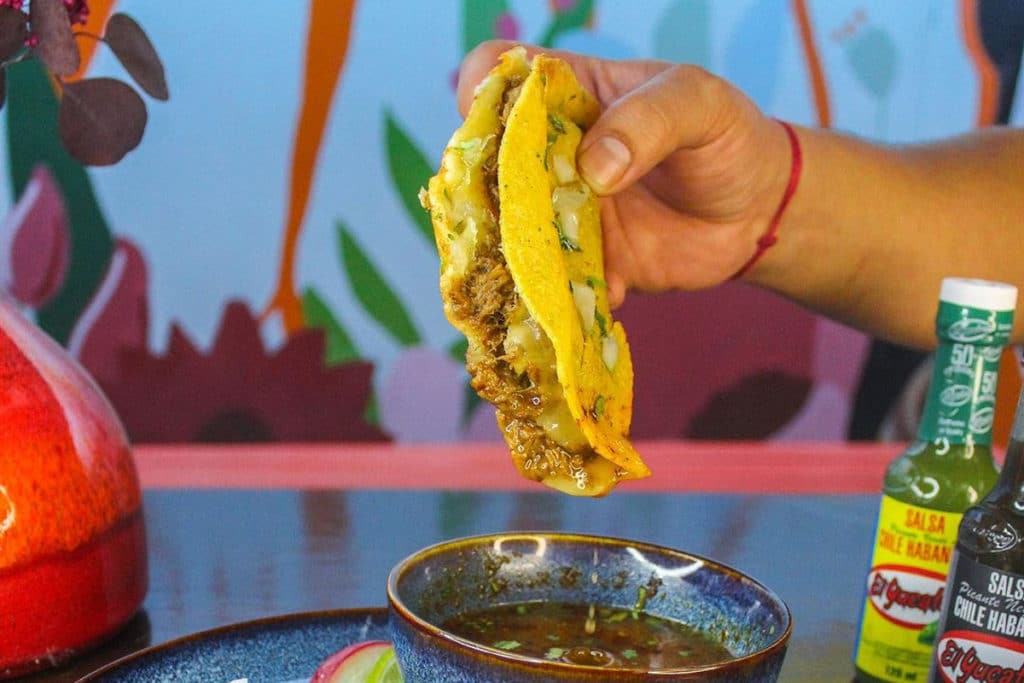 a photo of birria tacos